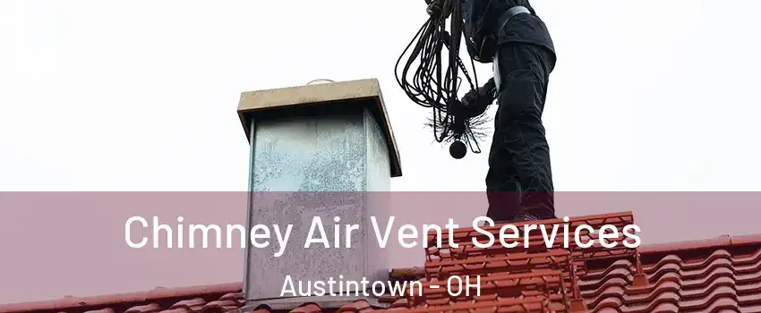  Chimney Air Vent Services Austintown - OH