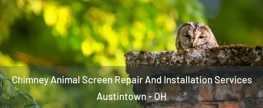  Chimney Animal Screen Repair And Installation Services Austintown - OH