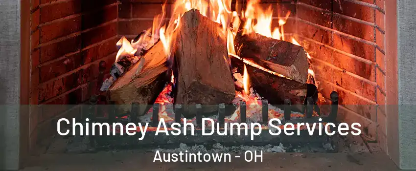  Chimney Ash Dump Services Austintown - OH