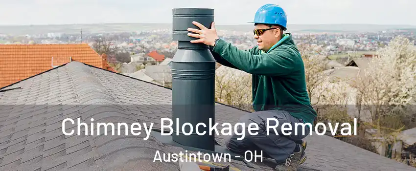  Chimney Blockage Removal Austintown - OH