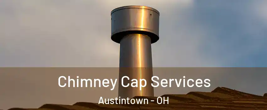  Chimney Cap Services Austintown - OH