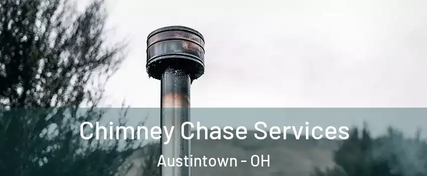  Chimney Chase Services Austintown - OH