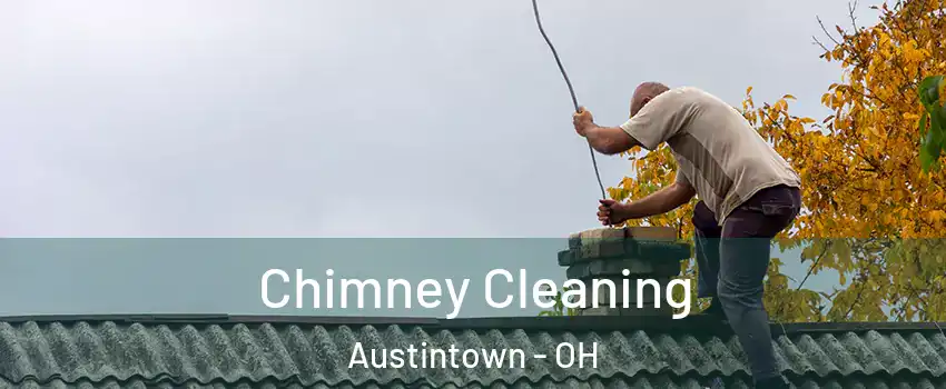  Chimney Cleaning Austintown - OH