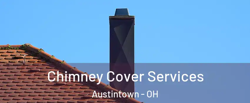  Chimney Cover Services Austintown - OH
