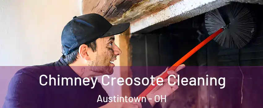  Chimney Creosote Cleaning Austintown - OH