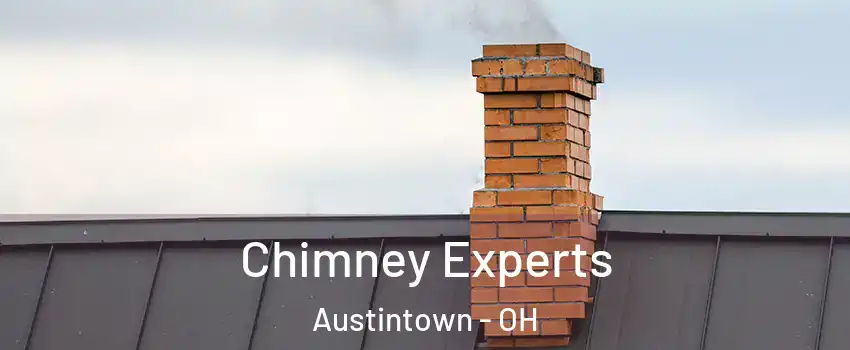  Chimney Experts Austintown - OH