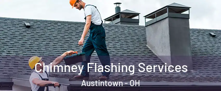  Chimney Flashing Services Austintown - OH
