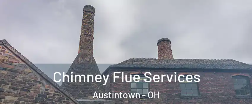  Chimney Flue Services Austintown - OH