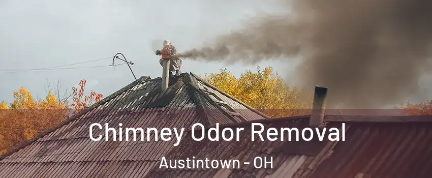  Chimney Odor Removal Austintown - OH