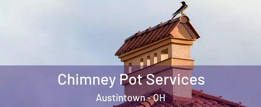  Chimney Pot Services Austintown - OH