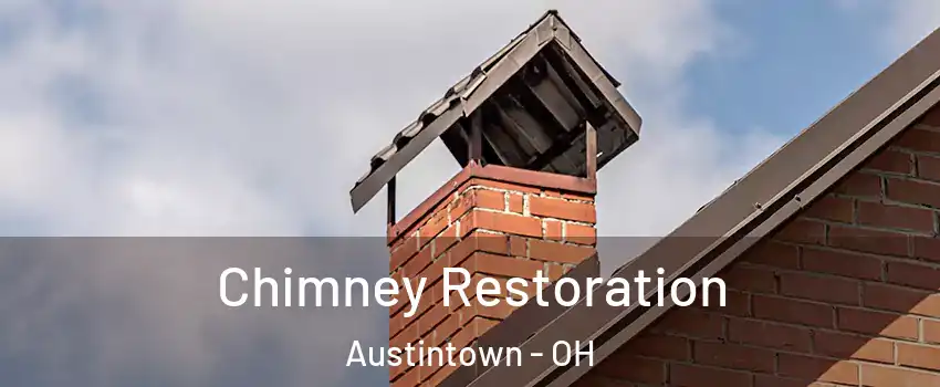  Chimney Restoration Austintown - OH