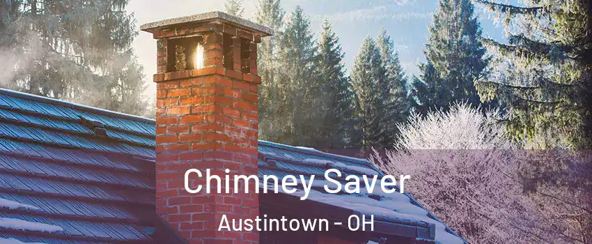  Chimney Saver Austintown - OH