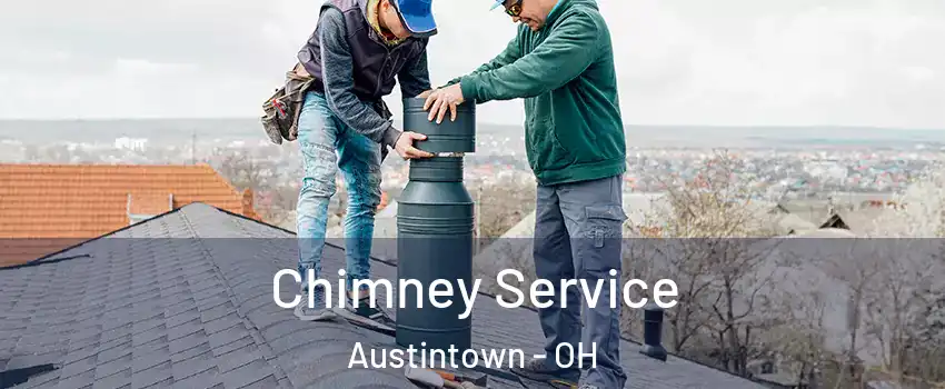  Chimney Service Austintown - OH