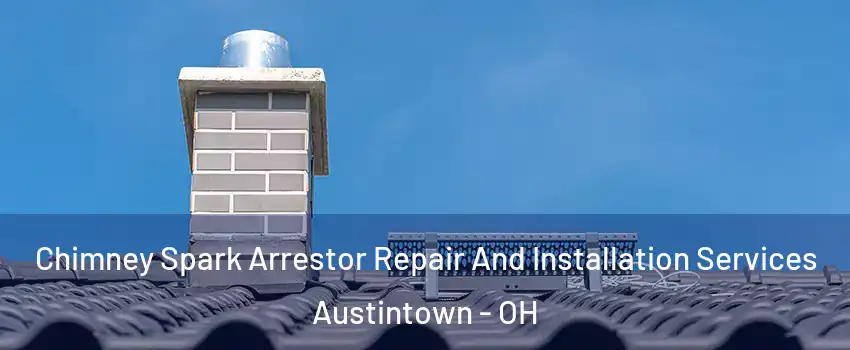  Chimney Spark Arrestor Repair And Installation Services Austintown - OH