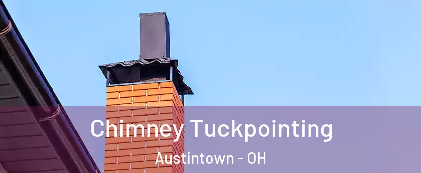  Chimney Tuckpointing Austintown - OH