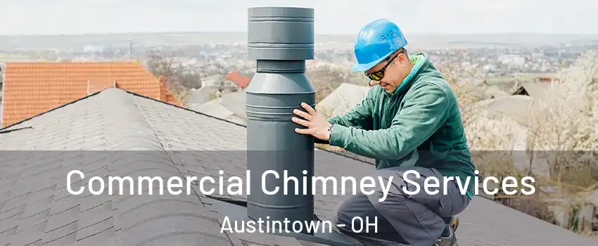  Commercial Chimney Services Austintown - OH