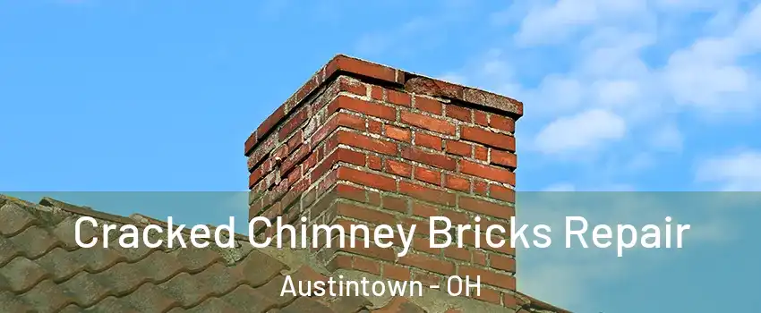  Cracked Chimney Bricks Repair Austintown - OH