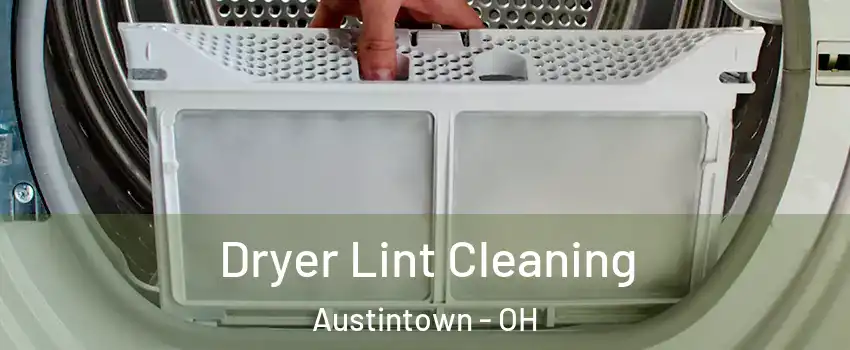  Dryer Lint Cleaning Austintown - OH