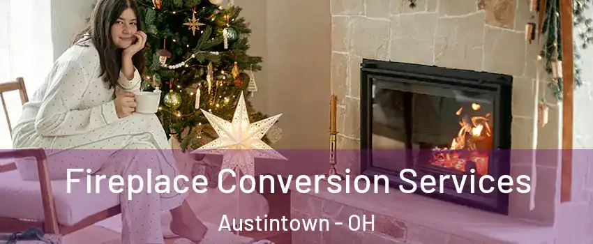  Fireplace Conversion Services Austintown - OH
