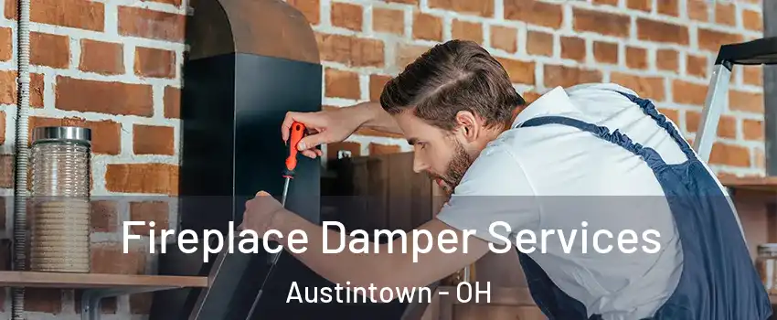  Fireplace Damper Services Austintown - OH