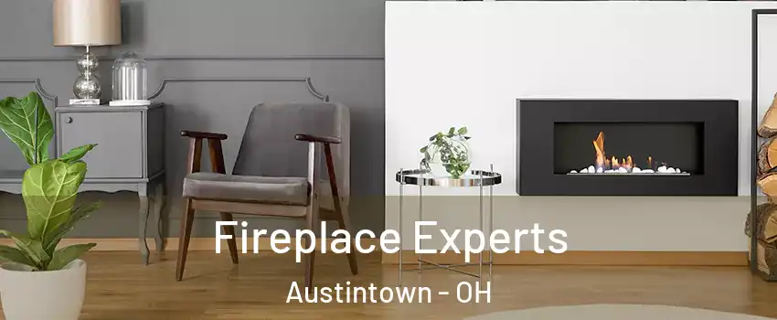  Fireplace Experts Austintown - OH