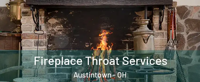  Fireplace Throat Services Austintown - OH