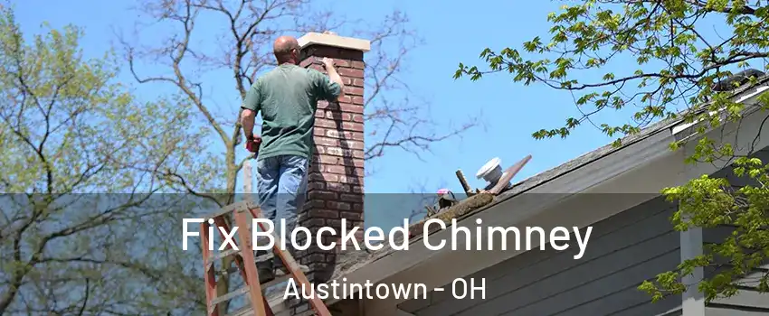  Fix Blocked Chimney Austintown - OH