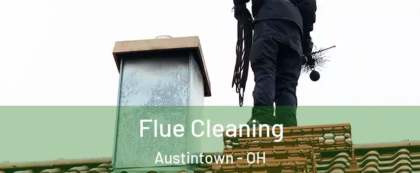  Flue Cleaning Austintown - OH