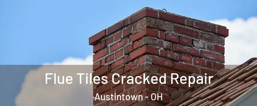  Flue Tiles Cracked Repair Austintown - OH