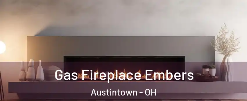  Gas Fireplace Embers Austintown - OH