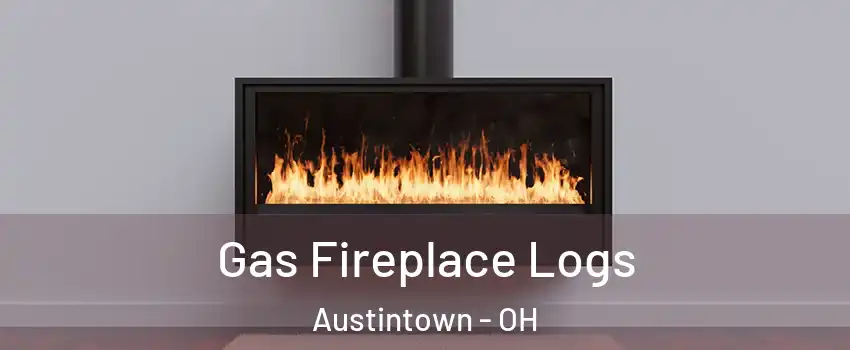  Gas Fireplace Logs Austintown - OH