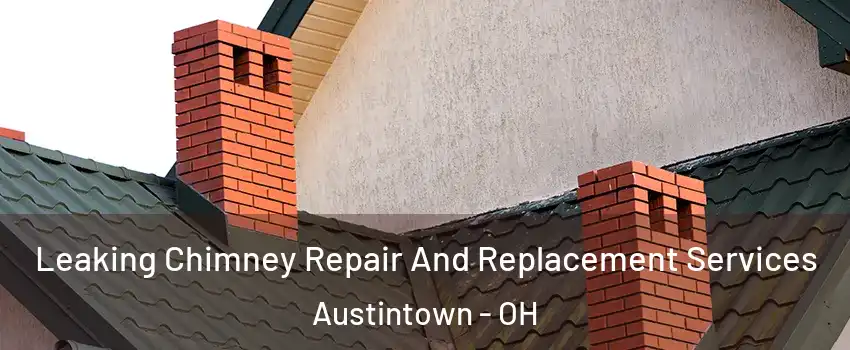  Leaking Chimney Repair And Replacement Services Austintown - OH