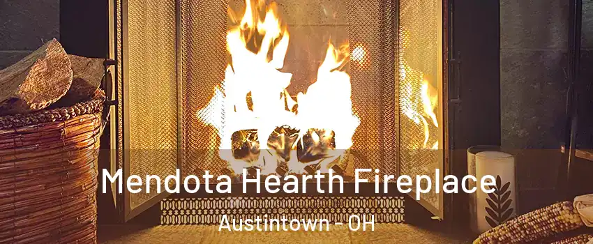  Mendota Hearth Fireplace Austintown - OH
