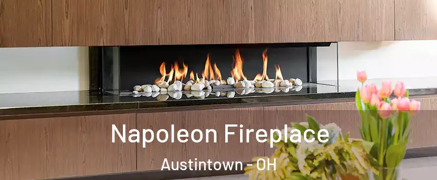  Napoleon Fireplace Austintown - OH