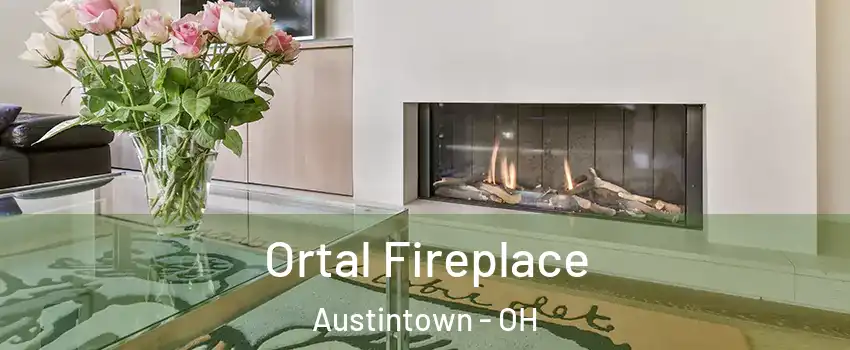  Ortal Fireplace Austintown - OH