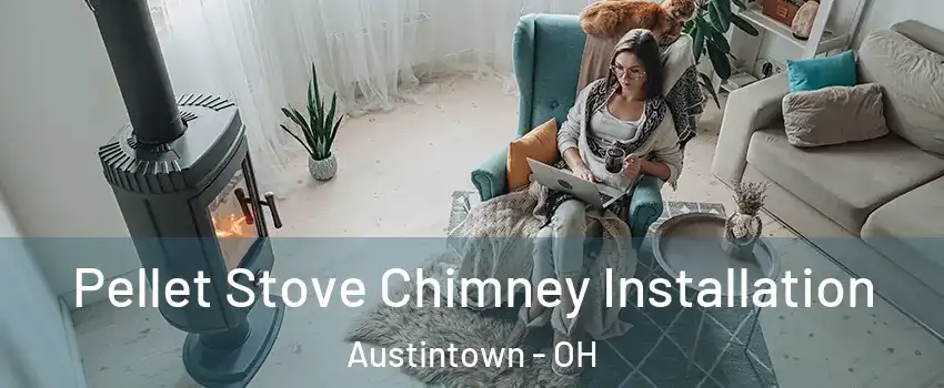  Pellet Stove Chimney Installation Austintown - OH