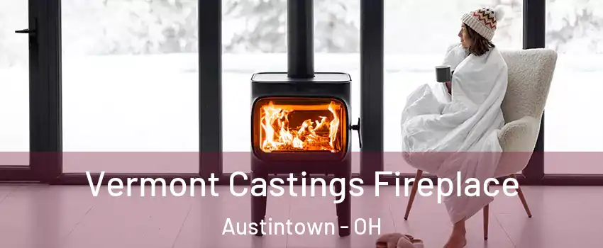  Vermont Castings Fireplace Austintown - OH